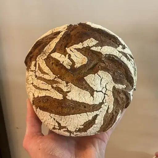 Pain de seigle (Coupé)